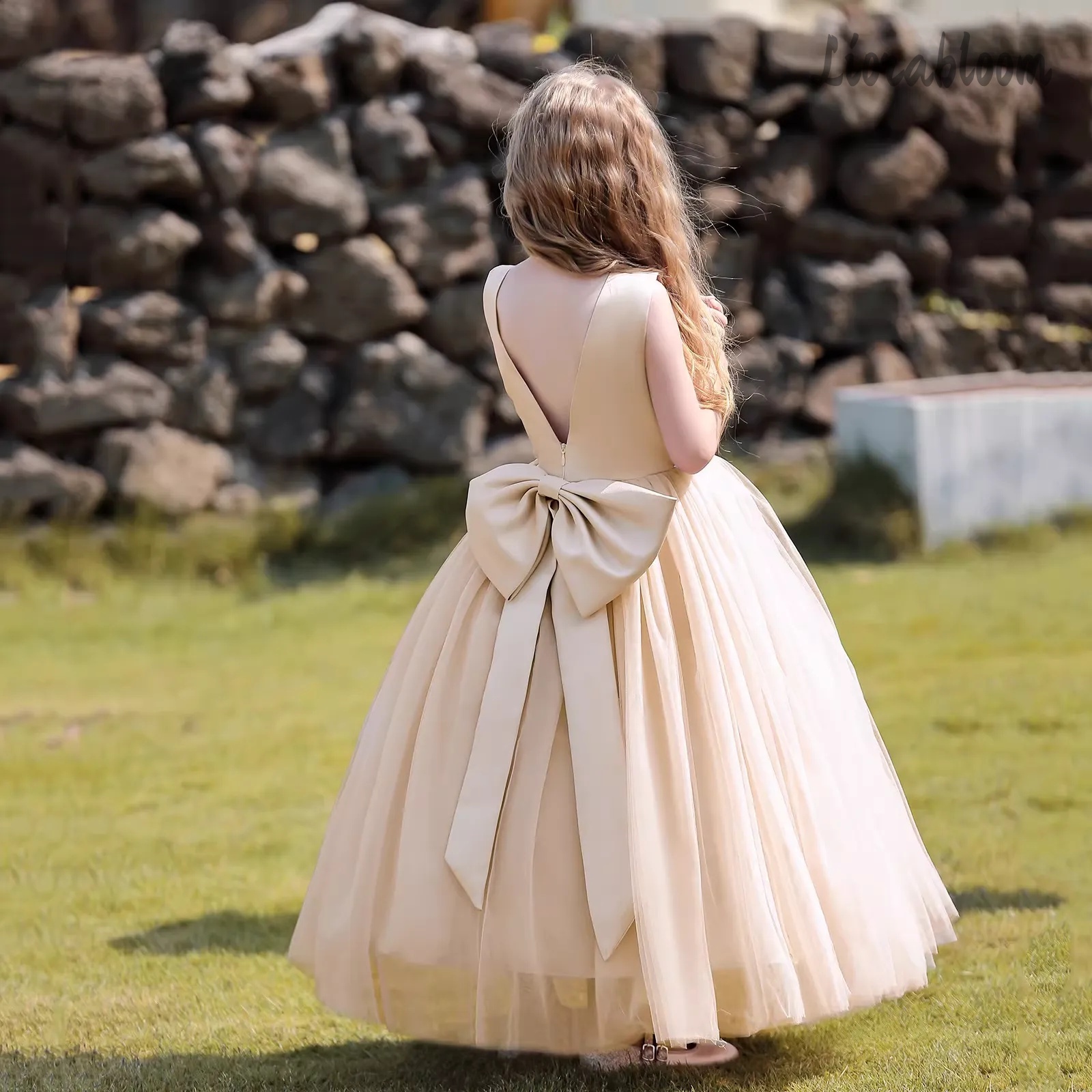 Multicolor Backless Princess D - Women'S Formal Wear Wedding recensie en prijs